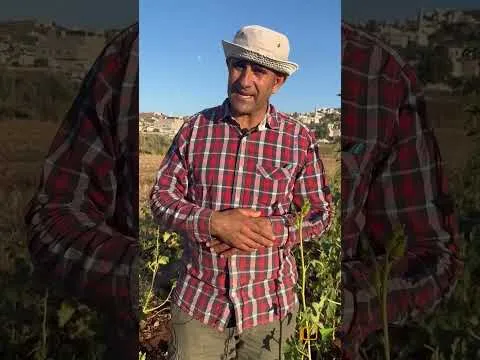 معلم مدرسة ومزارع في آن واحد.. تعرف على هاني بدير
