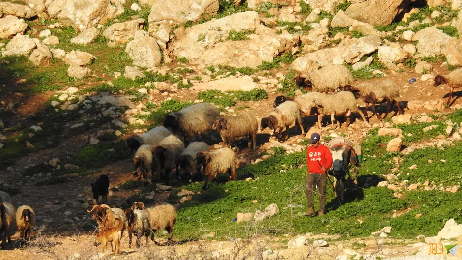 أجواء ربيع 2022 في خربة طانا