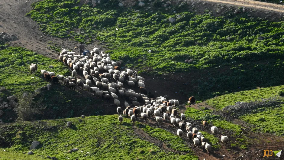 أجواء ربيع 2022 في خربة طانا