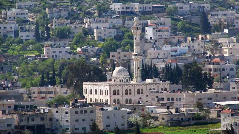 فيديو.. اعتقال 6 مواطنين من محافظة جنين
