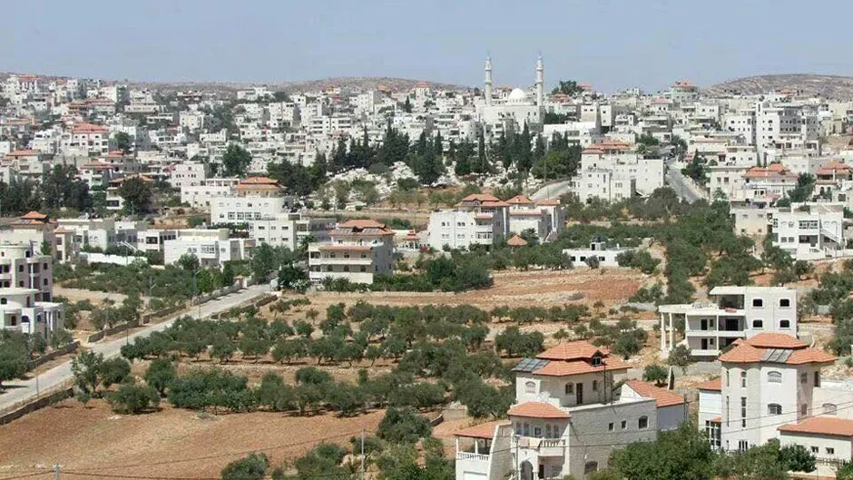 فيديو.. مستوطنون يقطعون التيار الكهربائي شرق دير دبوان